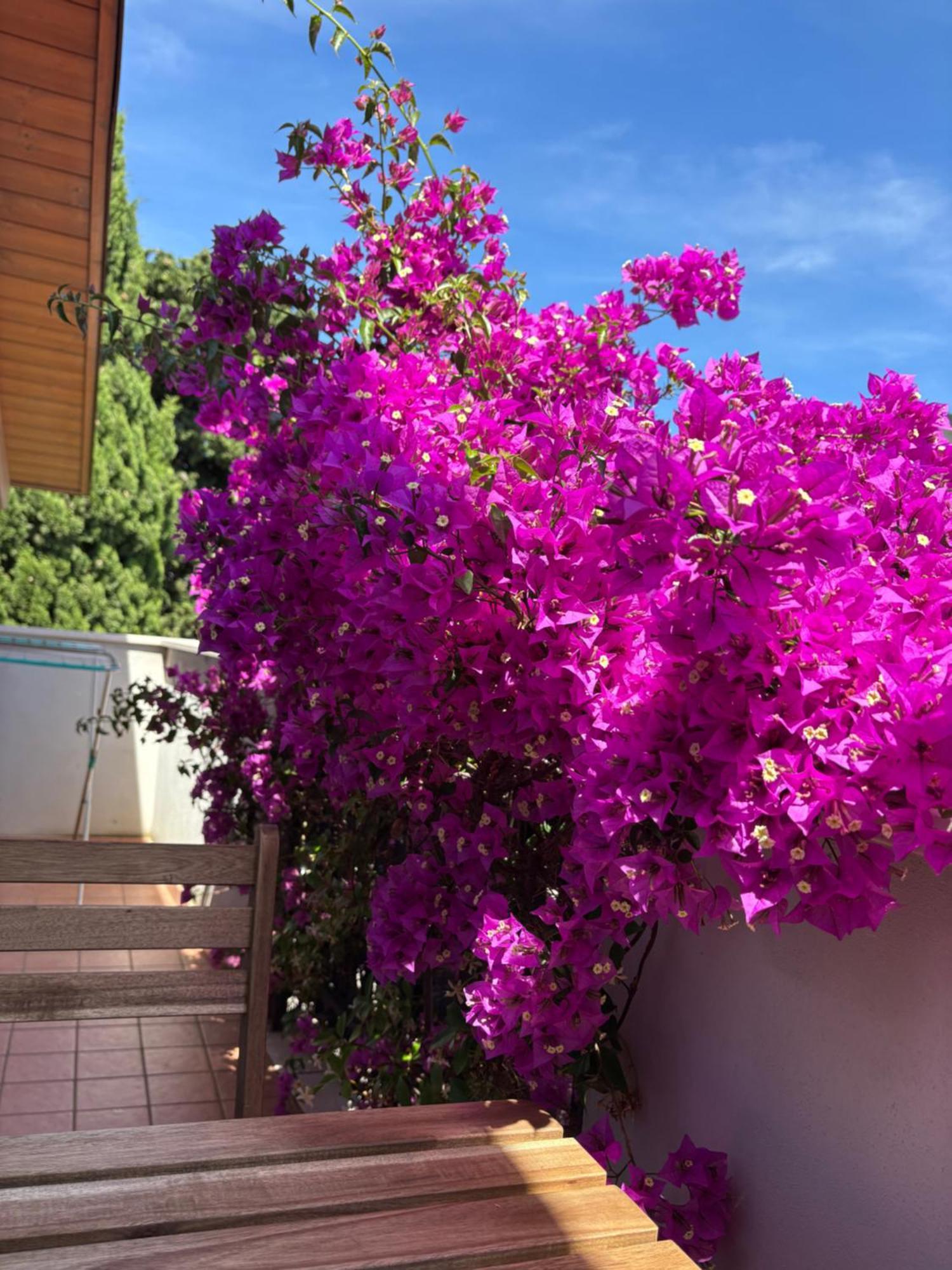 B&B Carlotta Montesilvano Marina 외부 사진